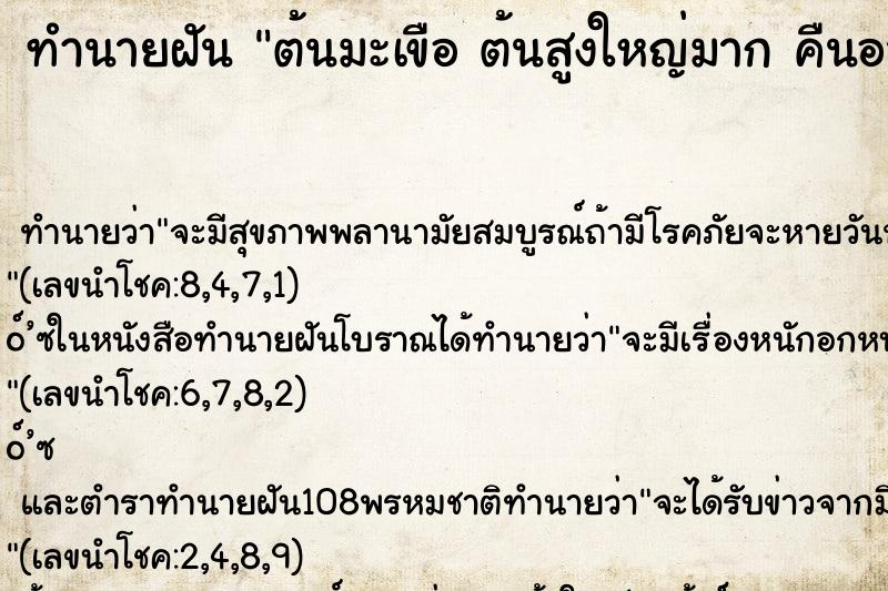 ทำนายฝันทำนายฝันต้นมะเขือต้นสูงใหญ่มากคืนอาทิตย์